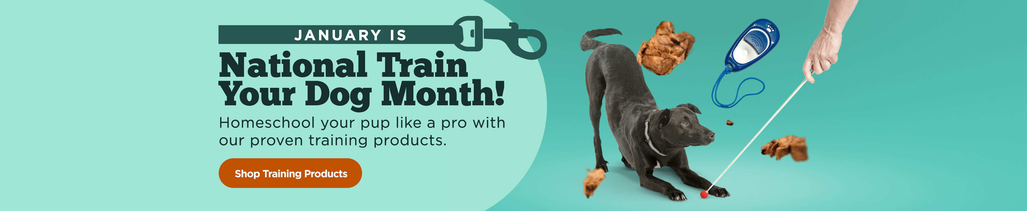 January is National Train Your Dog Month! Homeschool your pup like a pro with our proven training products - Shop Now