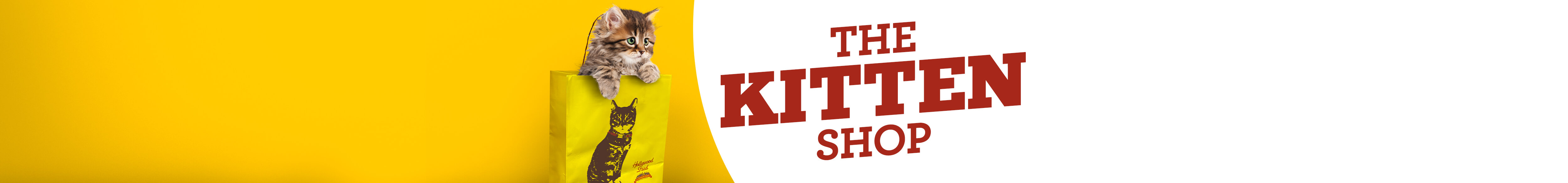 The Kitten Shop