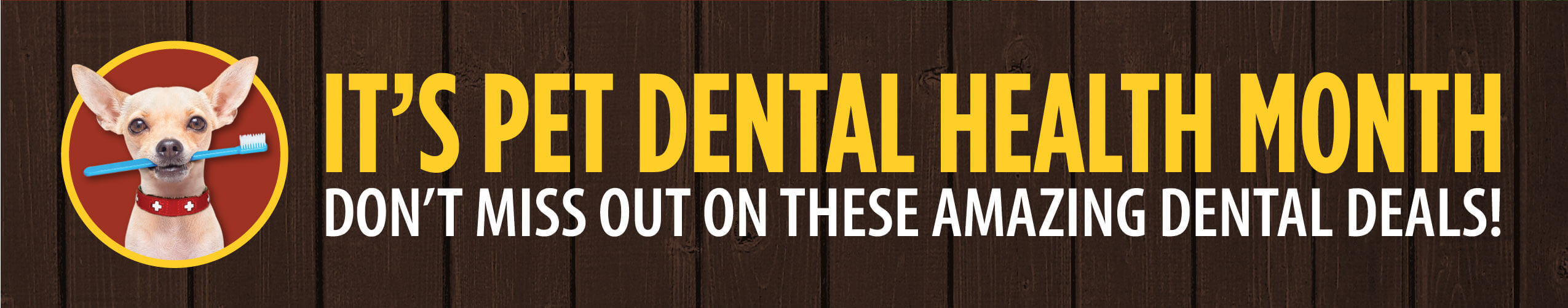 It's Pet Dental Health Month, Don't Miss out on these Amazing Dental Deals!