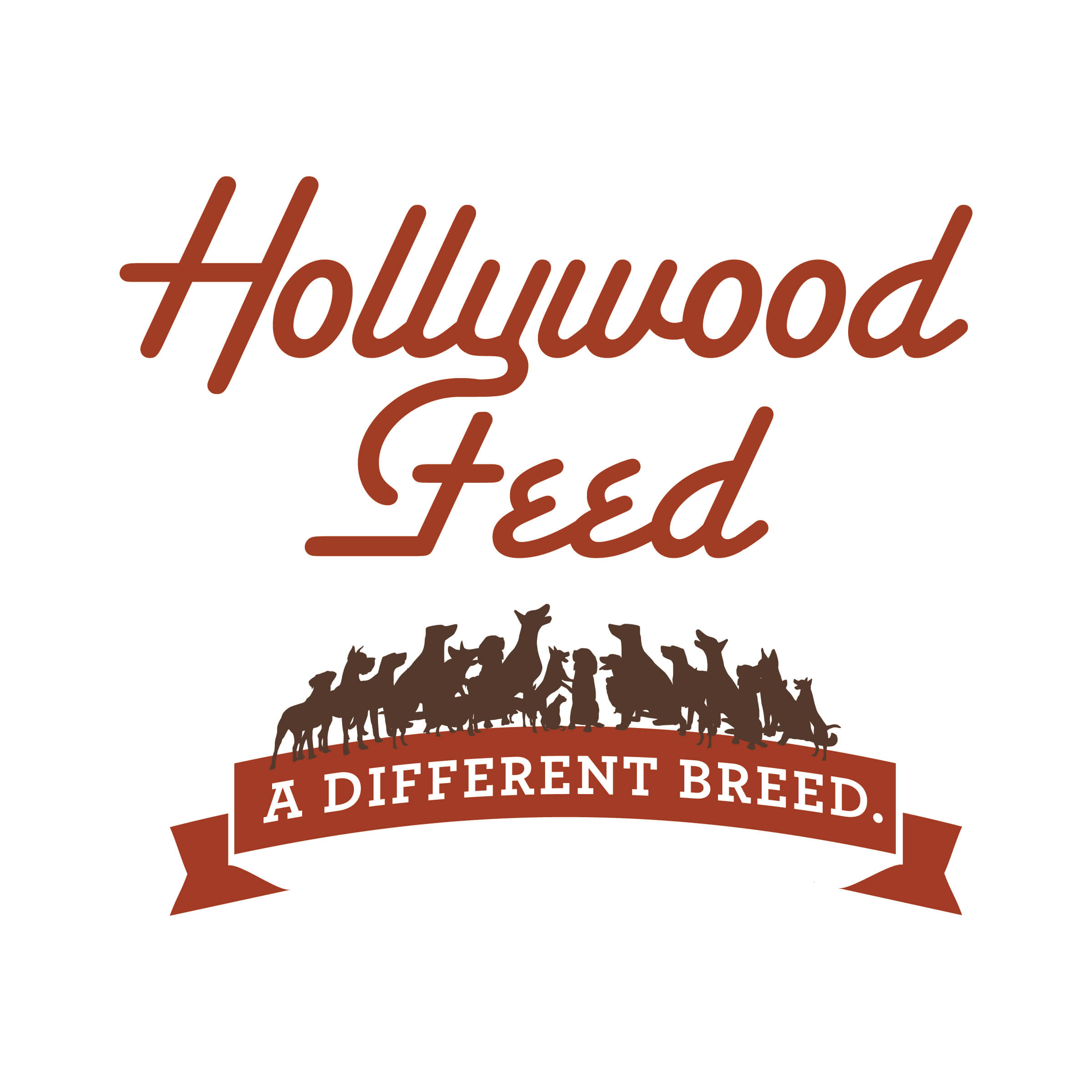 Hollywood feed outlet online