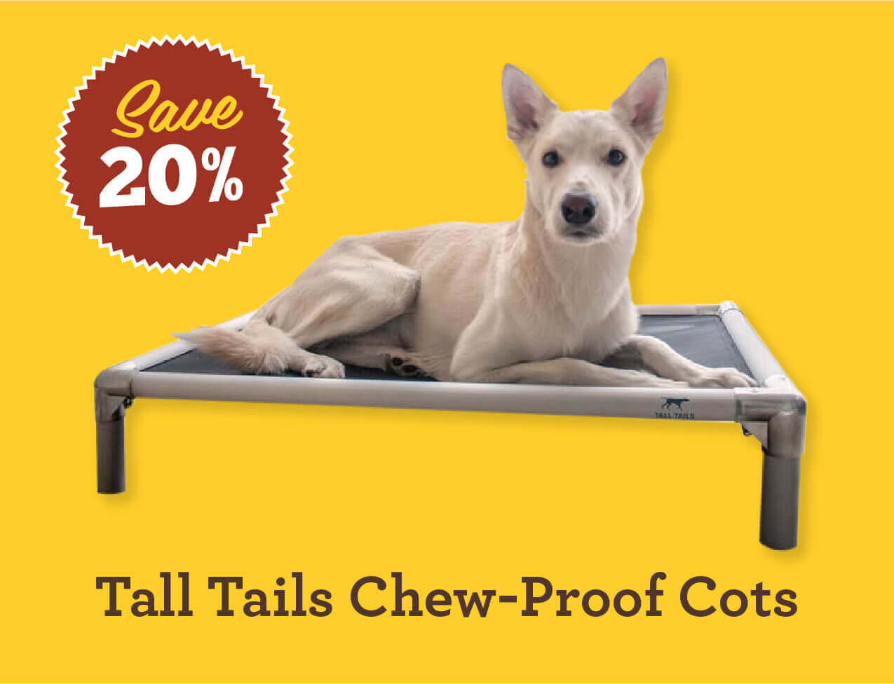 Save 20% on Tall Tails Chew-Proof Cots