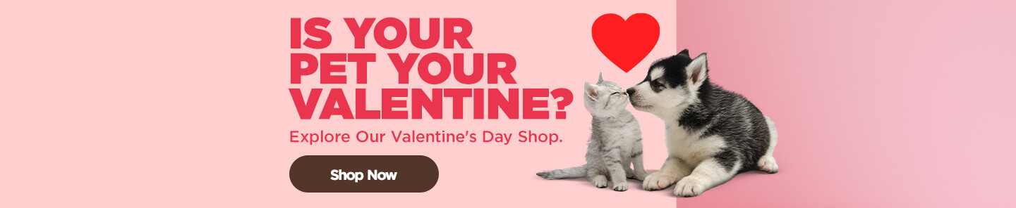 Is your Pet your Valentine? Explore Our Valentines Day Shop - Shop Now