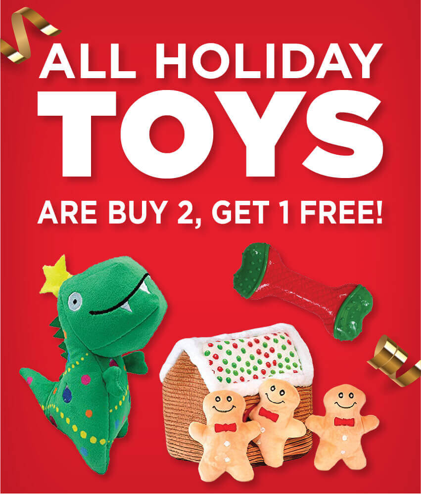 All Holiday Toys are Buy 2, Get 1 Free