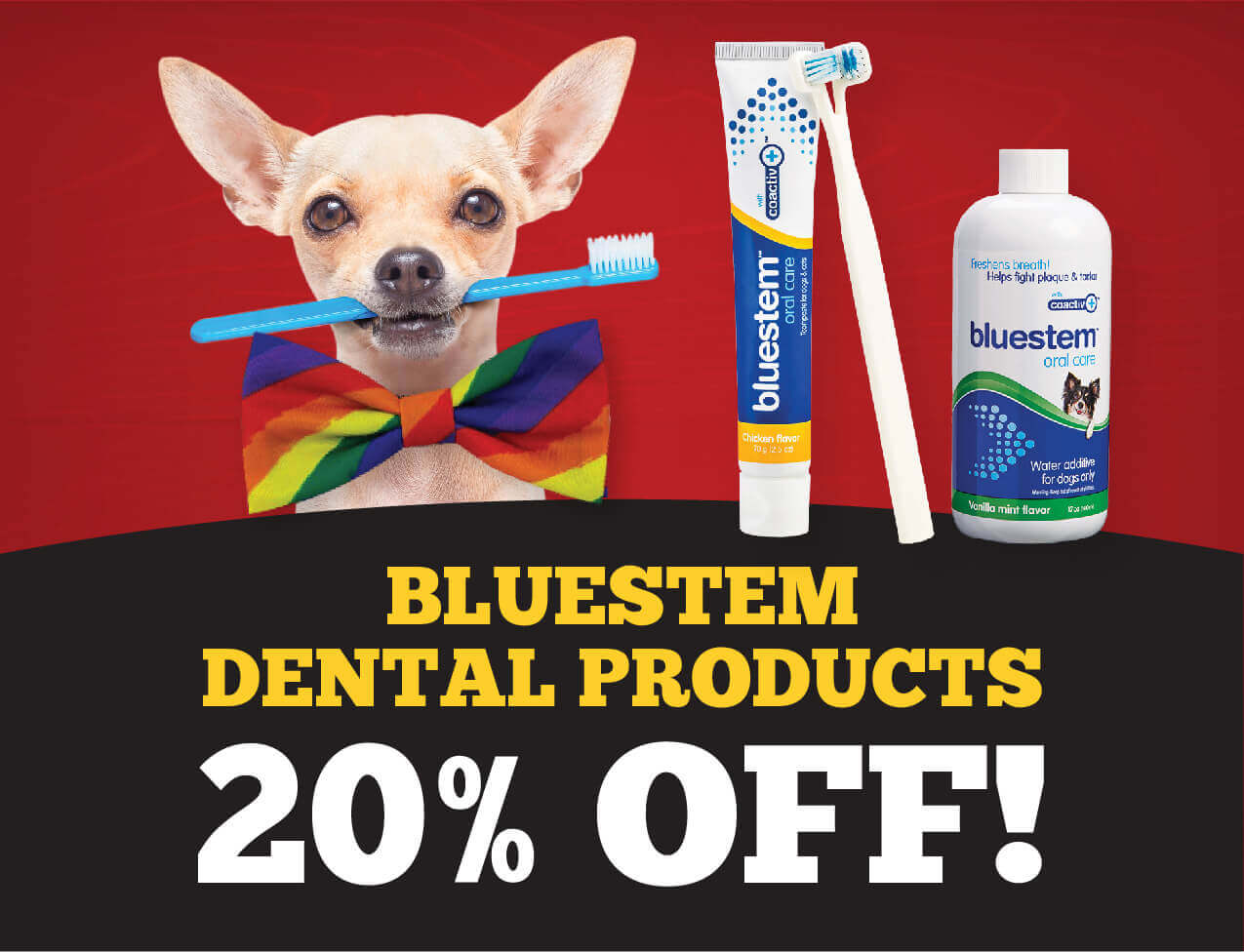 20% Off Bluestem Dental Products