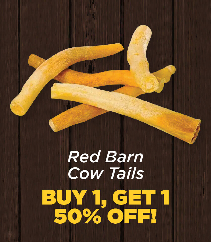 Buy 1, Get 1 50% Red Barn Cow Tails