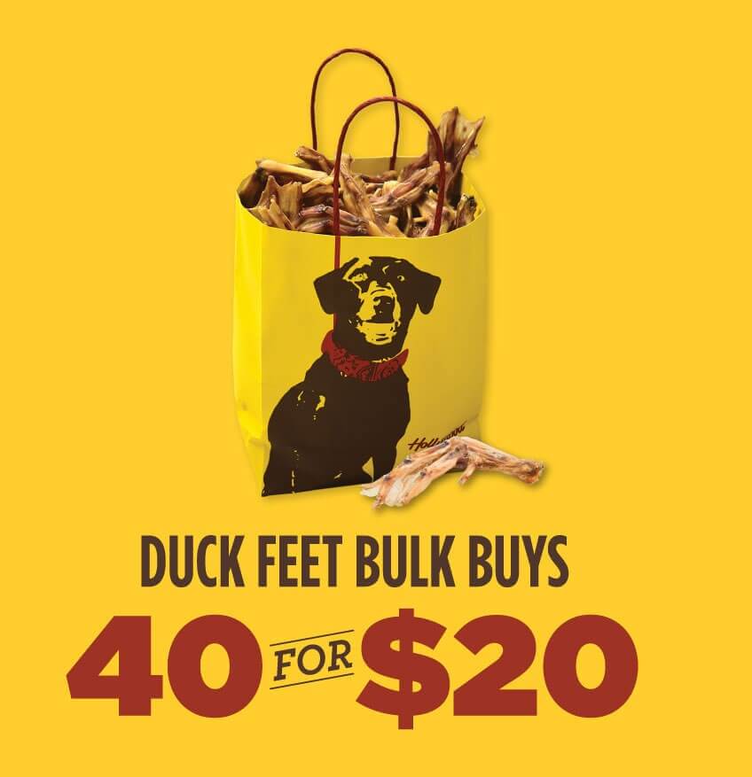 40 for $20 Duck Feet