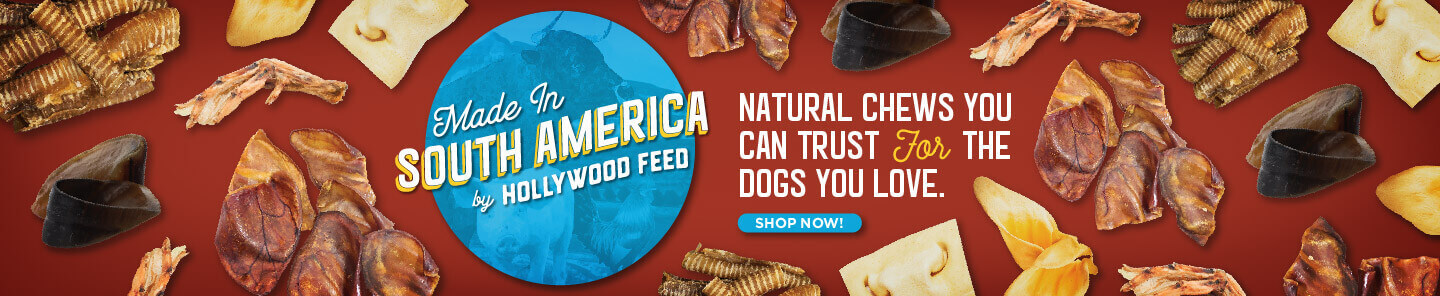 Made In South America by Hollywood Feed. Natural Chews you can trust for the dogs you love - Shop Now