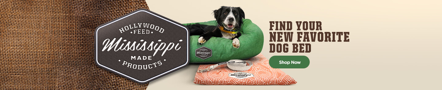 Find you New Favoite Dog Bed - Shop Now