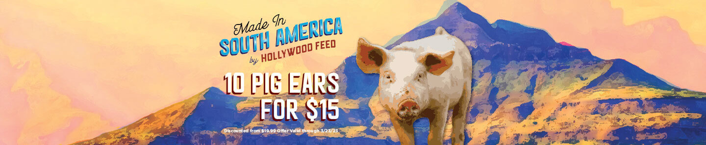 MISA 10 Pig Ears for $15 - Shop Now