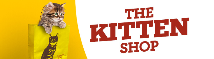 Shop for Kitten Products