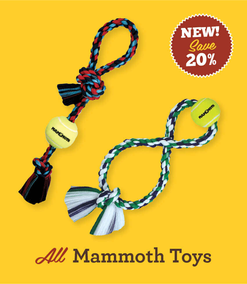 Save 20% on All Mammoth Toys
