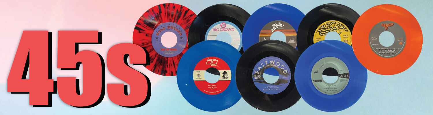 Blue Daisy: Hand painted Vinyl Record