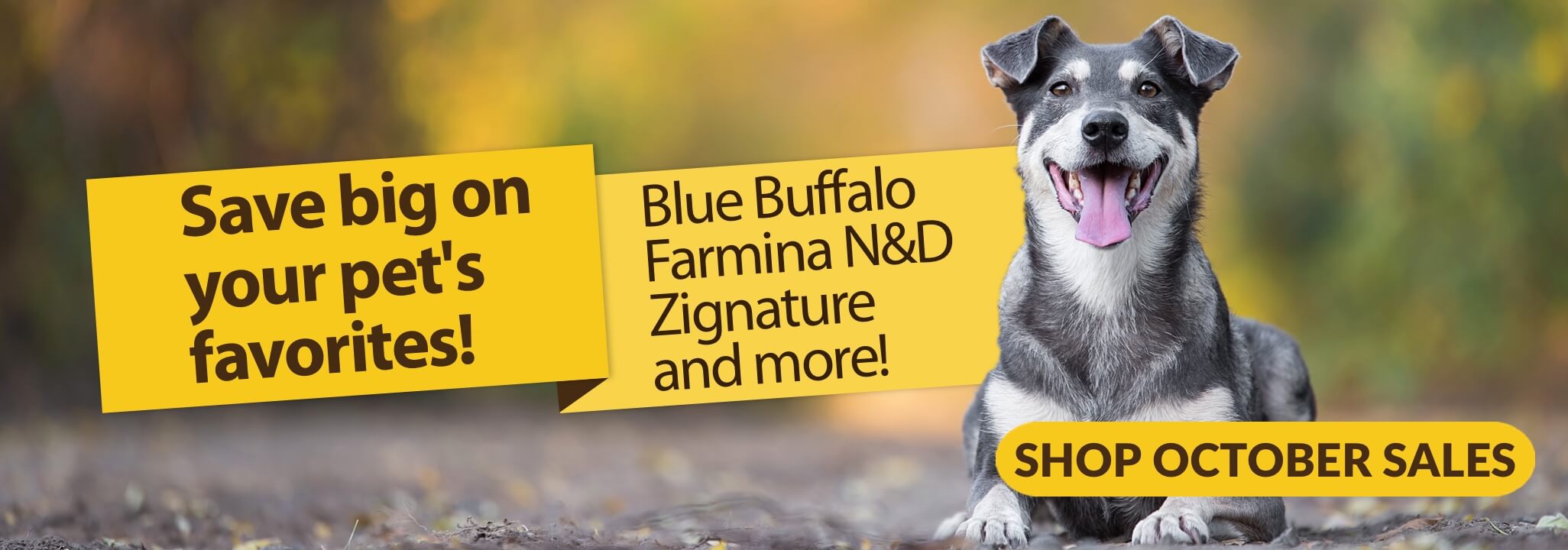 Save big on your pet's favorites! Blue Buffalo, Farmina N&D, Zignature, and more! Shop October Sales