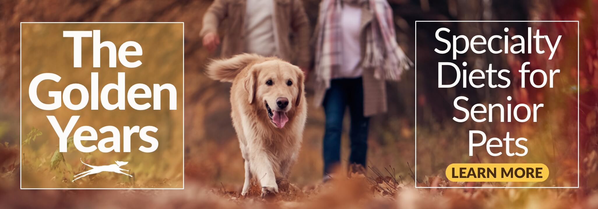 Senior citizen couple walking in the autumn woods a few yards behind their senior golden retriever. The Golden Years - Specialty Diets for Senior Pets