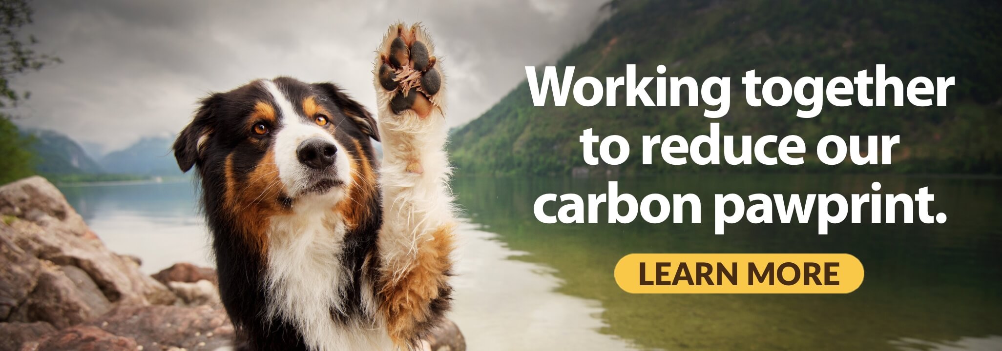 Working together to reduce our carbon pawprint