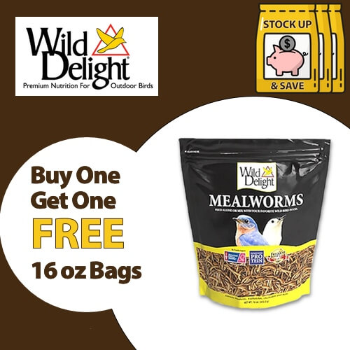 Buy 1, Get 1 FREE on 16 oz bags of Wild Delight Mealworms for Wild Birds