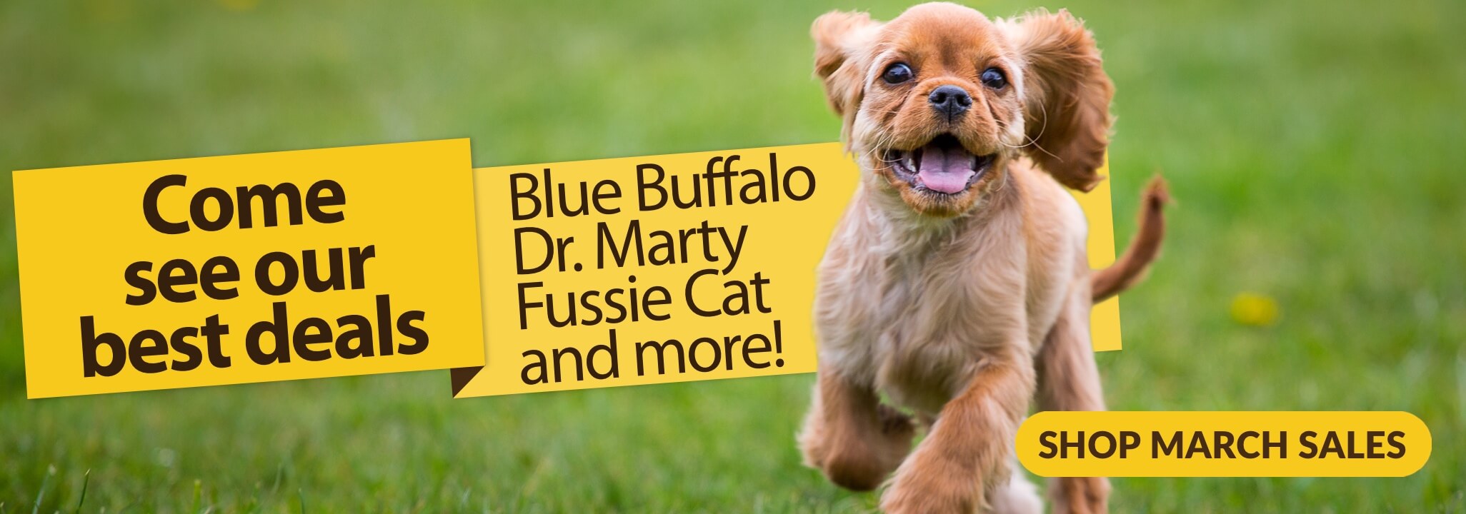 Come see our best deals Blue Buffalo, Dr. Marty, Fussie Cat, and more