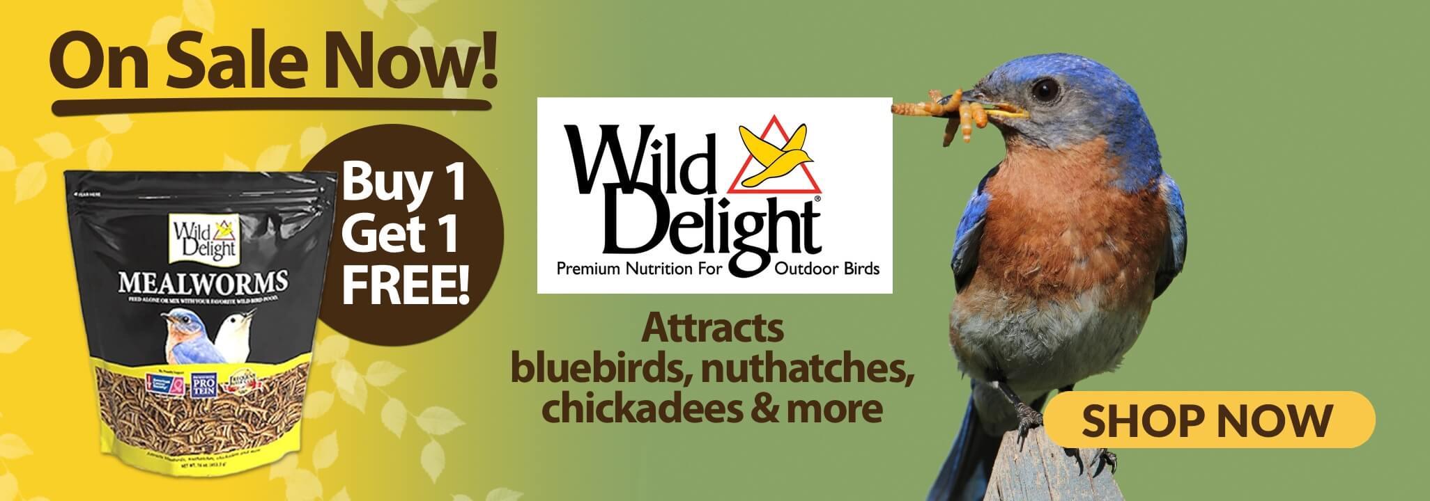 On Sale Now Wild Delight Mealworms Buy 1 Get 1 Free Attracts bluebirds, nuthatches, chickadees, and more Shop Now