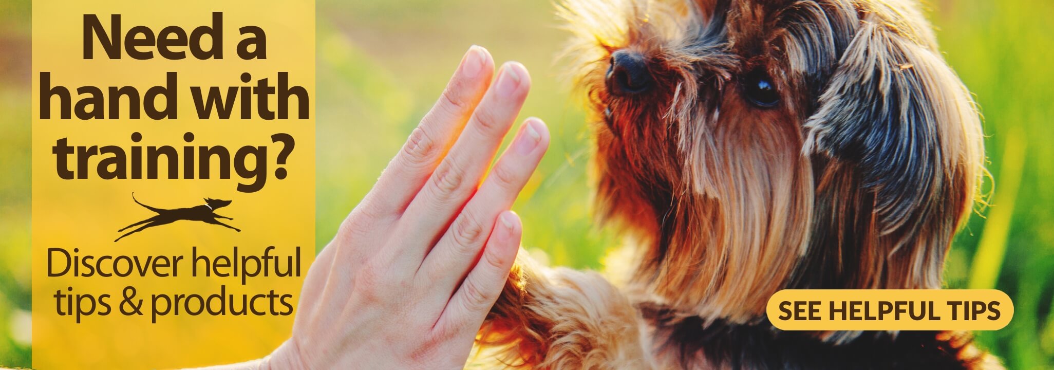 Yorkie giving high five to owner with caption Need a Hand with Training? Discover helpful tips and products. See Helpful Tips