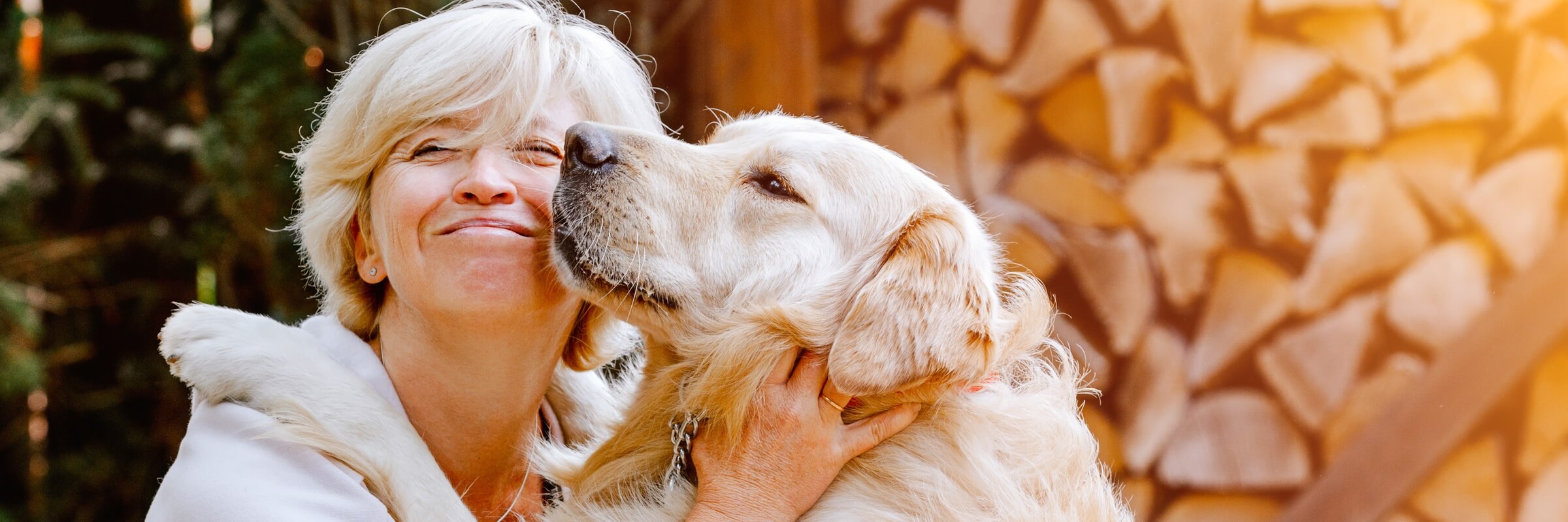 Sun shining on smiling woman receiving hug from aging golden retriever with woodpile in the background