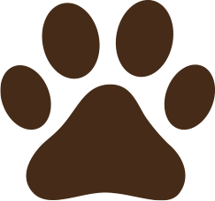 pet care services icon