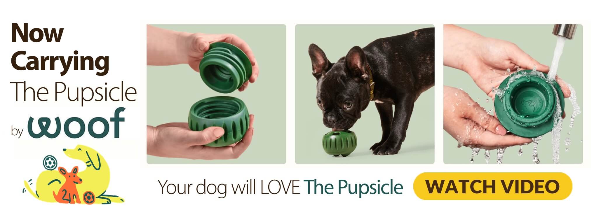 Now Carrying The Pupsicle by WOOF Your dog will LOVE The Pupsicle Watch Video