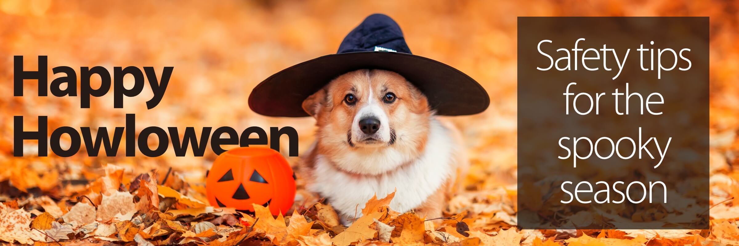 Happy Howloween Safety tips for the spooky season