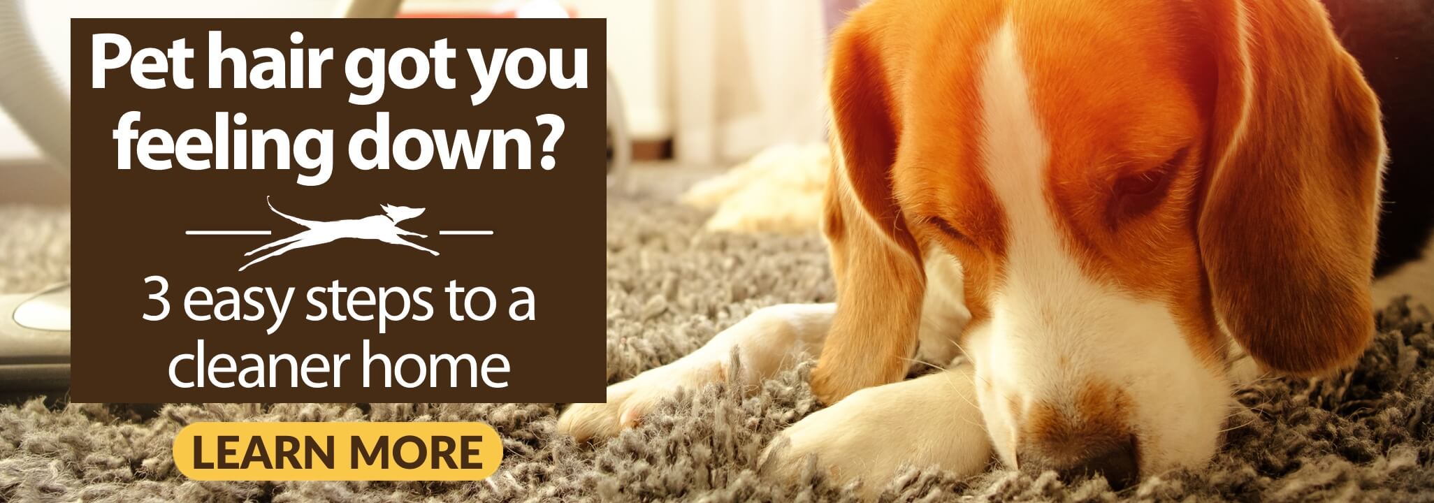 Beagle laying its head down on high pile rug covered in dog hair. Caption reads Pet hair got you feeling down? 3 easy steps to a cleaner home. Learn More