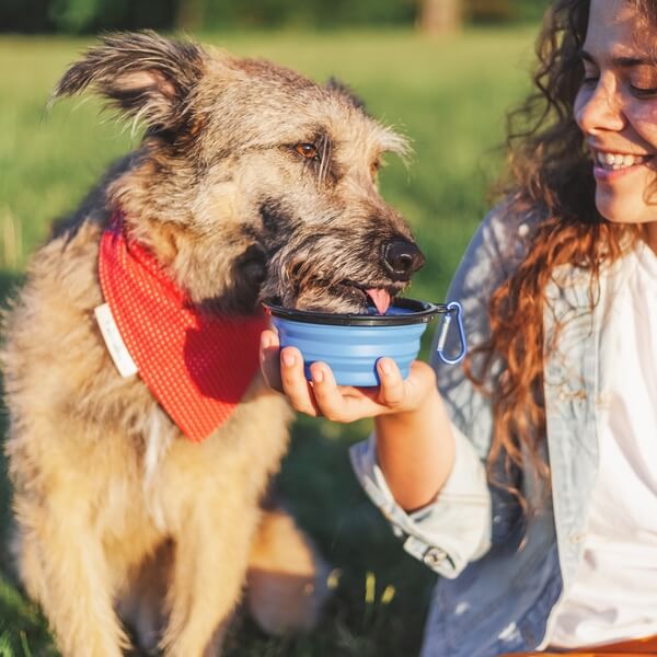 Young woman with curly hair sitting outside offering water in a portable bowl to her dog