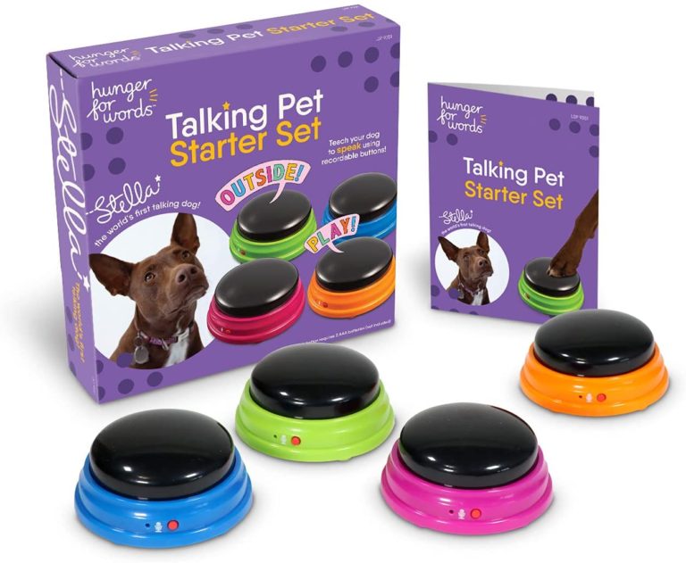Talking Pet Starter Kit