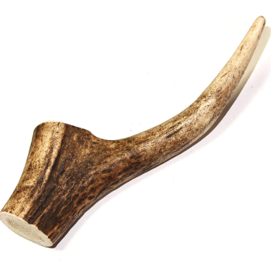 Tuesday's Natural Dog Company Whole Deer Antler, Small