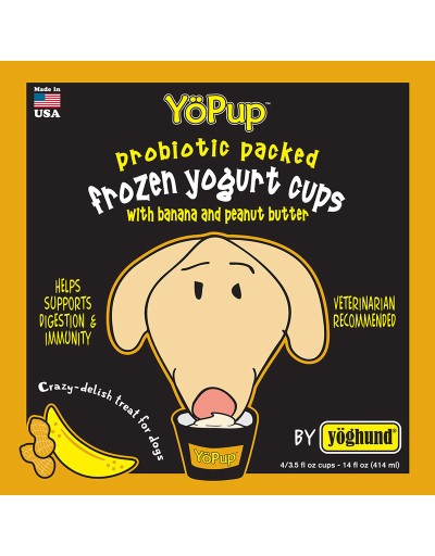 Yoghund Frozen Yogurt, 4 ct, Banana & PB