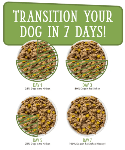 Weruva Lamburgini Dogs in the Kitchen slow feeding transition chart - 7 days