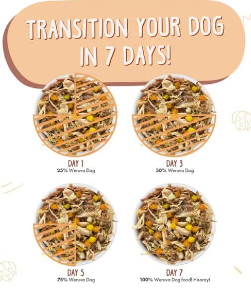 Weruva Wok The Dog chart with instructions for slow feeding transition
