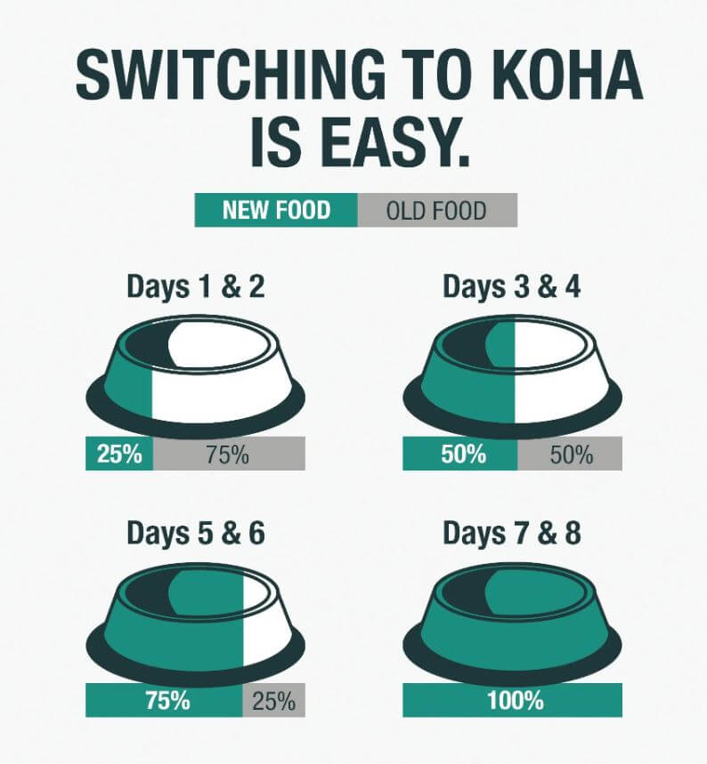 Koha's slow feed transition chart to introduce wet food full time- 7 days