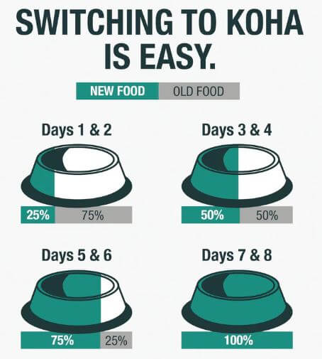 Koha Big Easy Slow Cooked Stew feeding transition chart - 7 days