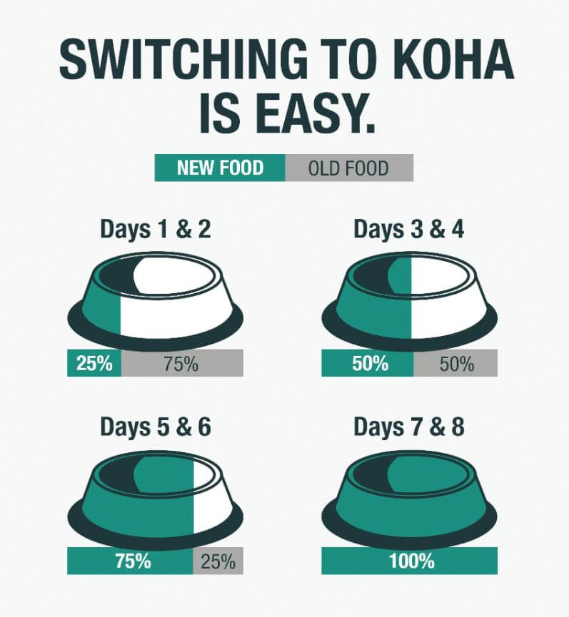 Koha Business Slow Feed Chart- 7 days 