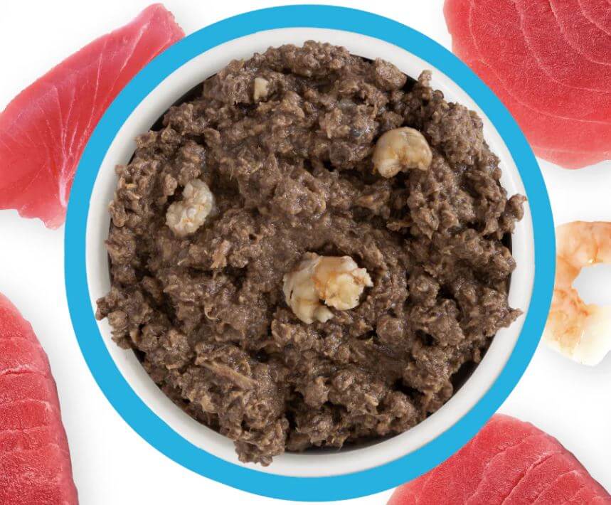 Weruva BFF MINCED Sweethearts Tuna & Shrimp open can food next to savory ingredients to show product quality.