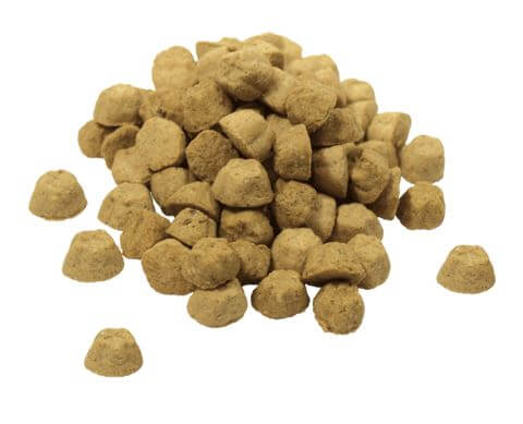 Lotus Grain-Free Soft Baked Turkey Recipe Dog Treats zoom to show treat detail.