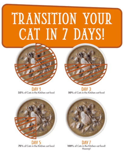 Weruva Cats in the Kitchen Pumpkin Jack Splash slow feed transition over 7 days