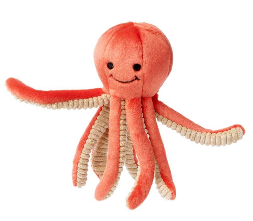 Squirt Octopus tentacles raised.