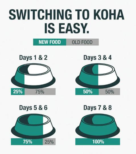 Koha Wet Food Transition chart to adjust to new food over 7 days