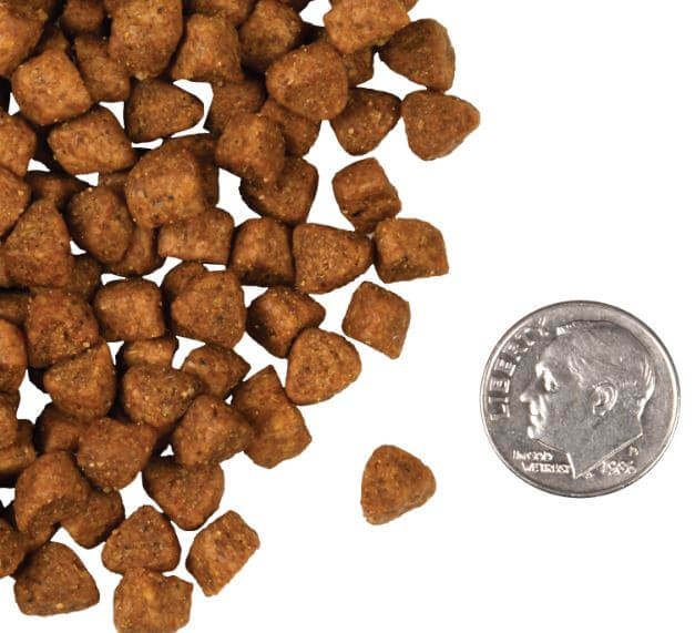 Fromm Hasen Duck sized kibble comparison to dime