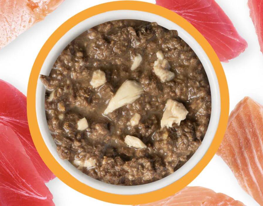 Weruva Minced Soulmates Tuna & Salmon open can next to savory ingredients to show product quality
