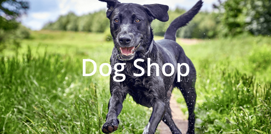 dog shop
